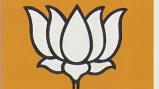 BJP leader Sudhanshu Trivedi said the socialism of the RJD and SP cannot be called socialism at all. (PTI)