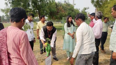 To coordinate efforts, DGM (horticulture) Sanjay Kumar Jain and assistant director Buddh Vilas have been appointed as nodal officers for the campaign. (HT Photos) To coordinate efforts, DGM (horticulture) Sanjay Kumar Jain and assistant director Buddh Vilas have been appointed as nodal officers for the campaign. (HT Photos)