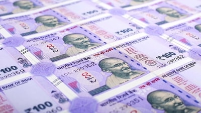 The report also flagged a concerning trend of increasing loan-to-value (LTV) ratios. (Pixabay) The report also flagged a concerning trend of increasing loan-to-value (LTV) ratios. (Pixabay)