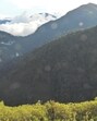 Forest cover in Arunachal Pradesh. (File Photo) Forest cover in Arunachal Pradesh. (File Photo)