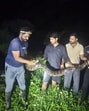 Pune’s diverse geography—ranging from forests and agricultural fields to urban zones—makes it a suitable habitat for a wide variety of snakes, with both venomous and non-venomous species commonly spotted. (HT)
