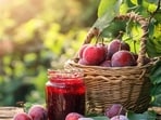 Make prunes a part of your daily meals Make prunes a part of your daily meals
