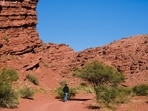 Outback includes red rock landscapes and barren-semi arid lands.