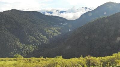Forest cover in Arunachal Pradesh. (File Photo) Forest cover in Arunachal Pradesh. (File Photo)