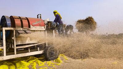 India relies on overseas markets to meet local demand of key crop nutrients, which are critical to food security in the world’s most populous nation. (PTI) India relies on overseas markets to meet local demand of key crop nutrients, which are critical to food security in the world’s most populous nation. (PTI)