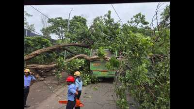 PCMC fire brigade responded swiftly, with two vehicles from Pimpri and Pradhikaran stations dispatched to the spot. (HT)