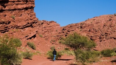 Outback includes red rock landscapes and barren-semi arid lands. (Freepik) Outback includes red rock landscapes and barren-semi arid lands. (Freepik)