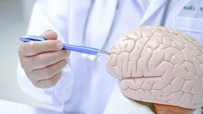 The brain has certain myths and misconceptions attached to it. (Shutterstock) The brain has certain myths and misconceptions attached to it. (Shutterstock)