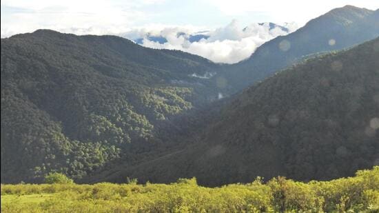 Forest cover in Arunachal Pradesh. (File Photo)