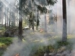Chelan, Washington wildfire: Firefighters responding to blaze off Apple Acres Road and Antoine Creek Road (Pixabay - representational image)