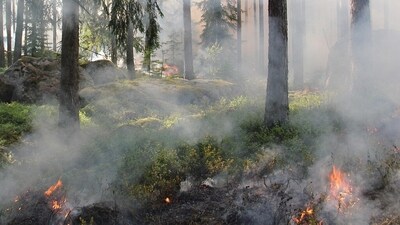 Chelan, Washington wildfire: Firefighters responding to blaze off Apple Acres Road and Antoine Creek Road (Pixabay - representational image) Chelan, Washington wildfire: Firefighters responding to blaze off Apple Acres Road and Antoine Creek Road (Pixabay - representational image)