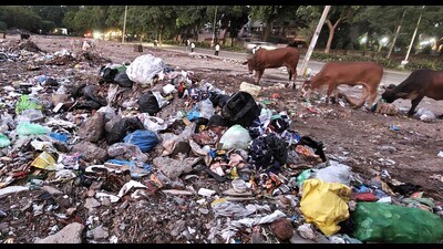 Hapless residents have started dumping waste in the open, turning streets into dumps. (Keshav Singh/HT) Hapless residents have started dumping waste in the open, turning streets into dumps. (Keshav Singh/HT)