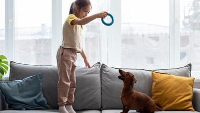 Make rainy days fun for your pet with mentally and physically stimulating games. (Freepik) Make rainy days fun for your pet with mentally and physically stimulating games. (Freepik)