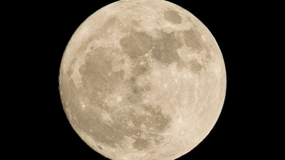 The Buck Moon will be visible on July 10 The Buck Moon will be visible on July 10