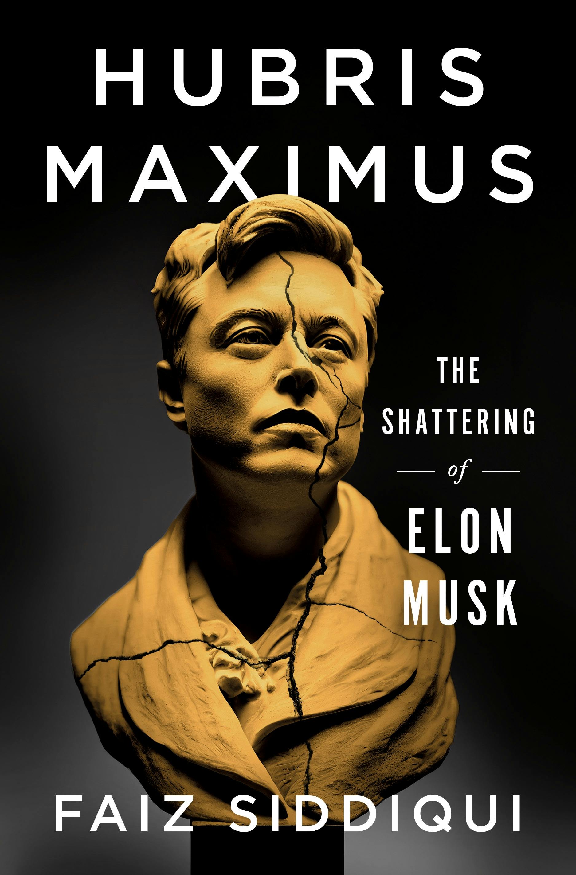(366pp, ₹599; Blink Publishing) (366pp, ₹599; Blink Publishing)
