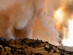 The Madre wildfire burns on Thursday, July 3, 2025, in San Luis Obispo County, Calif. 