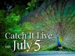 Catch It Live on Saturday, 5 July 2025. Catch It Live on Saturday, 5 July 2025.