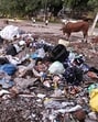 Hapless residents have started dumping waste in the open, turning streets into dumps. (Keshav Singh/HT) Hapless residents have started dumping waste in the open, turning streets into dumps. (Keshav Singh/HT)