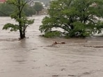 Trees stand partially submerged after storms caused massive flooding from the swollen Guadalupe River in Kerrville, Texas