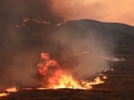 The Madre Fire burns near New Cuyama, California, U.S. July 3, 2025.