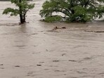 Officials said more than 10 inches (25 centimetres) of rain fell in just a few hours in Texas.