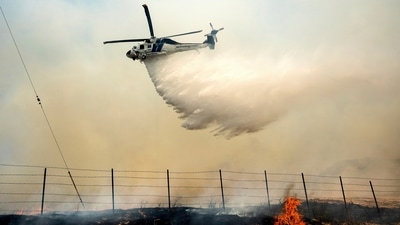 A firefighting helicopter swoops low over Highway 166, dropping water on the advancing Madre Fire in San Luis Obispo County on July 3, 2025.(AP Photo/Noah Berger) (AP)