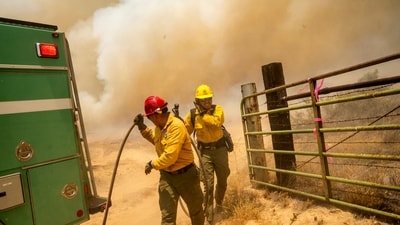 U.S. Forest Service firefighter shields his face while battling the Madre Fire as it makes a run along Highway 166 in San Luis Obispo County, California. (AP) U.S. Forest Service firefighter shields his face while battling the Madre Fire as it makes a run along Highway 166 in San Luis Obispo County, California. (AP)