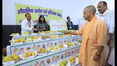 Chief minister Yogi Adityanath during the inauguration of the mango festival, in Lucknow. (Handout via PTI Photo)