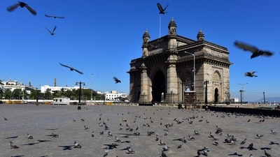 Pigeons at the Gateway of India in Mumbai. (Anshuman Poyrekar/HT Archive)