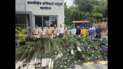 The 11 accused individuals were nabbed from Narpatgiri Chowk in Somwar Peth. (HT) The 11 accused individuals were nabbed from Narpatgiri Chowk in Somwar Peth. (HT)