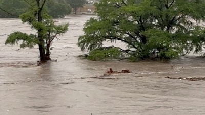 Trees stand partially submerged after storms caused massive flooding from the swollen Guadalupe River in Kerrville, Texas (Michael Moad via REUTERS)
