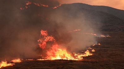 The Madre Fire burns near New Cuyama, California, U.S. July 3, 2025. (REUTERS)