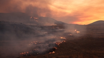 The Madre Fire burns fiercely near New Cuyama, California, on July 3, 2025, as smoke rises over the parched terrain. REUTERS/David Swanson (REUTERS)
