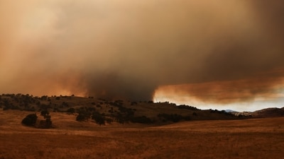 A towering column of smoke rose into the sky near New Cuyama, California, on July 3, 2025, as the Madre Fire continued to burn through dry brush and rugged terrain. REUTERS/David Swanson (REUTERS)
