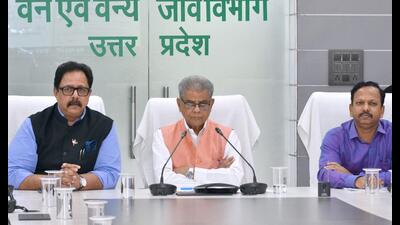Uttar Pradesh forest minister (in centre) Arun K Saxena chairing a review meeting on plantation with senior officials HoD Sunil Chaudhary (left) and PCCF B Prabhakar on Friday. (Sourced) Uttar Pradesh forest minister (in centre) Arun K Saxena chairing a review meeting on plantation with senior officials HoD Sunil Chaudhary (left) and PCCF B Prabhakar on Friday. (Sourced)