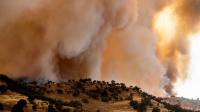 Thick smoke rising from the field from the Madre wildfire in San Luis Obispo County, California. (AP) Thick smoke rising from the field from the Madre wildfire in San Luis Obispo County, California. (AP)