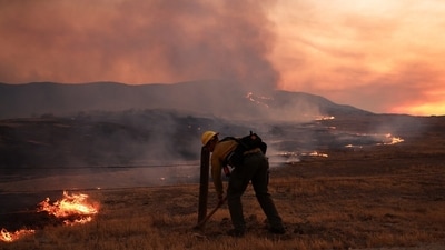 California’s Madre Fire has spread rapidly since it ignited Wednesday. California’s Madre Fire has spread rapidly since it ignited Wednesday.