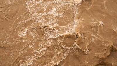 Representational image. (Unsplash) Representational image. (Unsplash)
