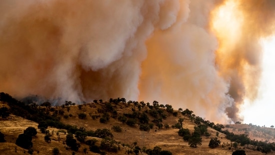 The Madre wildfire burns on Thursday, July 3, 2025, in San Luis Obispo County, Calif. (AP)