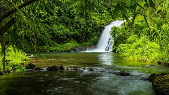 Monsoon vacations provide a unique experience with misty landscapes and serene rains. (Shutterstock)