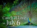 Catch It Live on Sunday, 6 July 2025.
