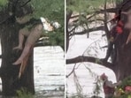 In Texas, Carl rescued a woman clinging to a tree after the July 4th floods. Despite a delayed emergency response, he managed to signal rescuers. In Texas, Carl rescued a woman clinging to a tree after the July 4th floods. Despite a delayed emergency response, he managed to signal rescuers.