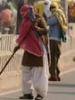 The MC has assigned the sanitary inspectors with cleaning the main roads in their areas. (HT Photo) The MC has assigned the sanitary inspectors with cleaning the main roads in their areas. (HT Photo)