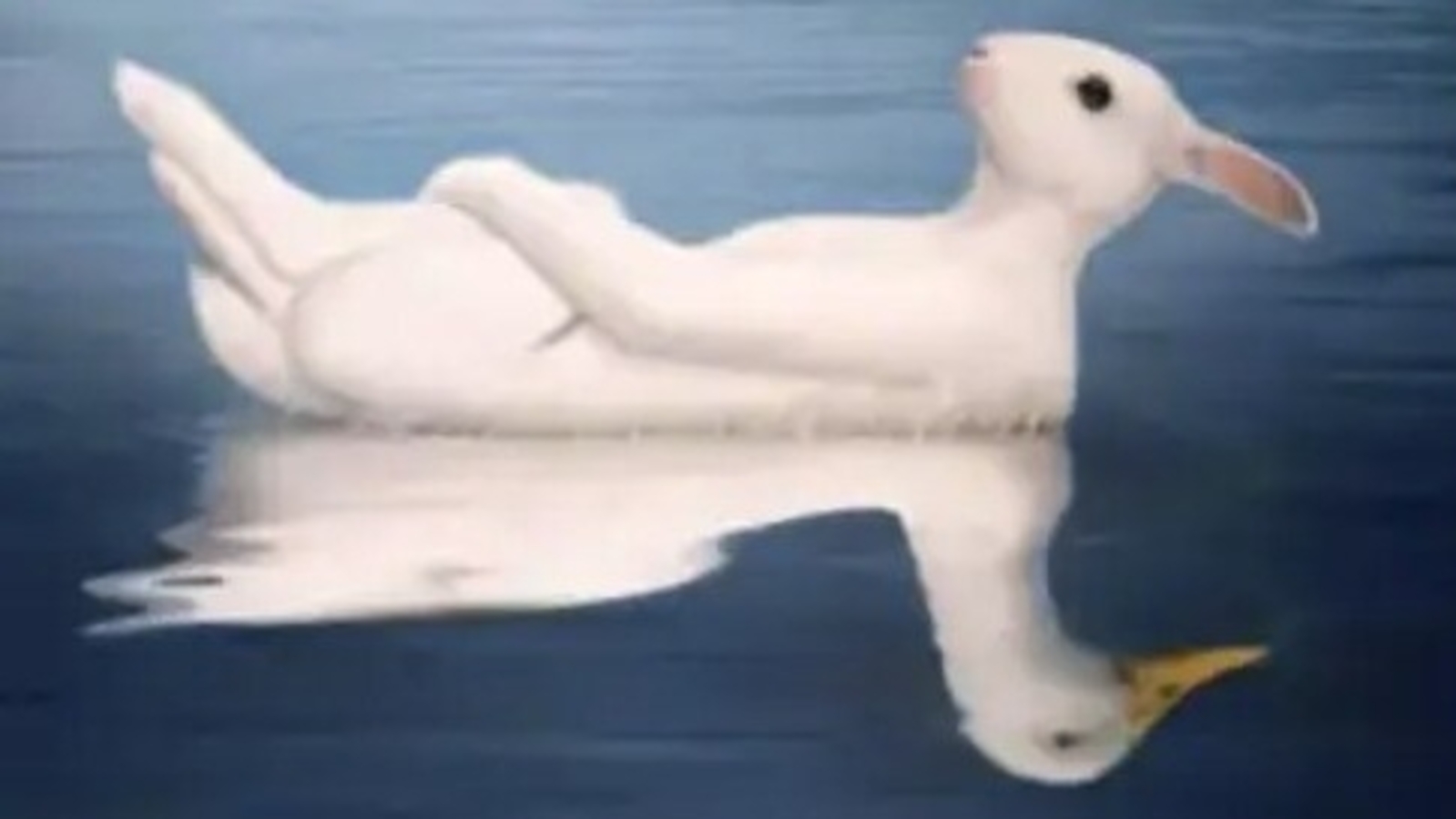 Optical illusion: Do you see a rabbit or a duck first? Here’s what it ...