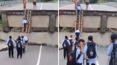 Jharkhand school students accessing a collapsed bridge with a bamboo ladder. (X/@ANI) Jharkhand school students accessing a collapsed bridge with a bamboo ladder. (X/@ANI)