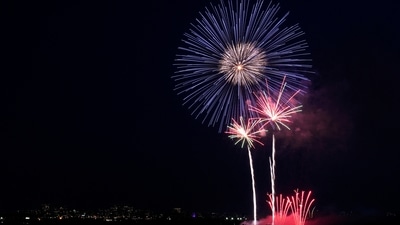 Fireworks burst near the Washington Monument during Fourth of July celebrations at the White House. Alex Brandon/Pool via REUTERS (via REUTERS)