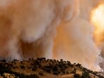 The Aubrey Fire has burned over 50 acres in Spokane, Washington. 