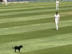 A dog invaded the pitch during the second Test of the series against West Indies