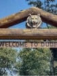 In Dudhwa National Park (DNP), the number of leopards grew to 93 in 2025 from 34 in 2022 (173.53%), in the Katarniaghat sanctuary to 131 from 37 in 2022 (254.05%) and in the buffer zone to 51 from 21 in 2022 (142.86%). In Dudhwa National Park (DNP), the number of leopards grew to 93 in 2025 from 34 in 2022 (173.53%), in the Katarniaghat sanctuary to 131 from 37 in 2022 (254.05%) and in the buffer zone to 51 from 21 in 2022 (142.86%).