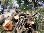 Tree felling, rapid urbanisation and many other causes attributed to the diminishing greenery of Bengaluru city. (PIC FOR REPRESENTATION)